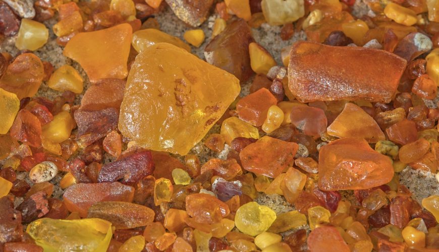 Collecting amber