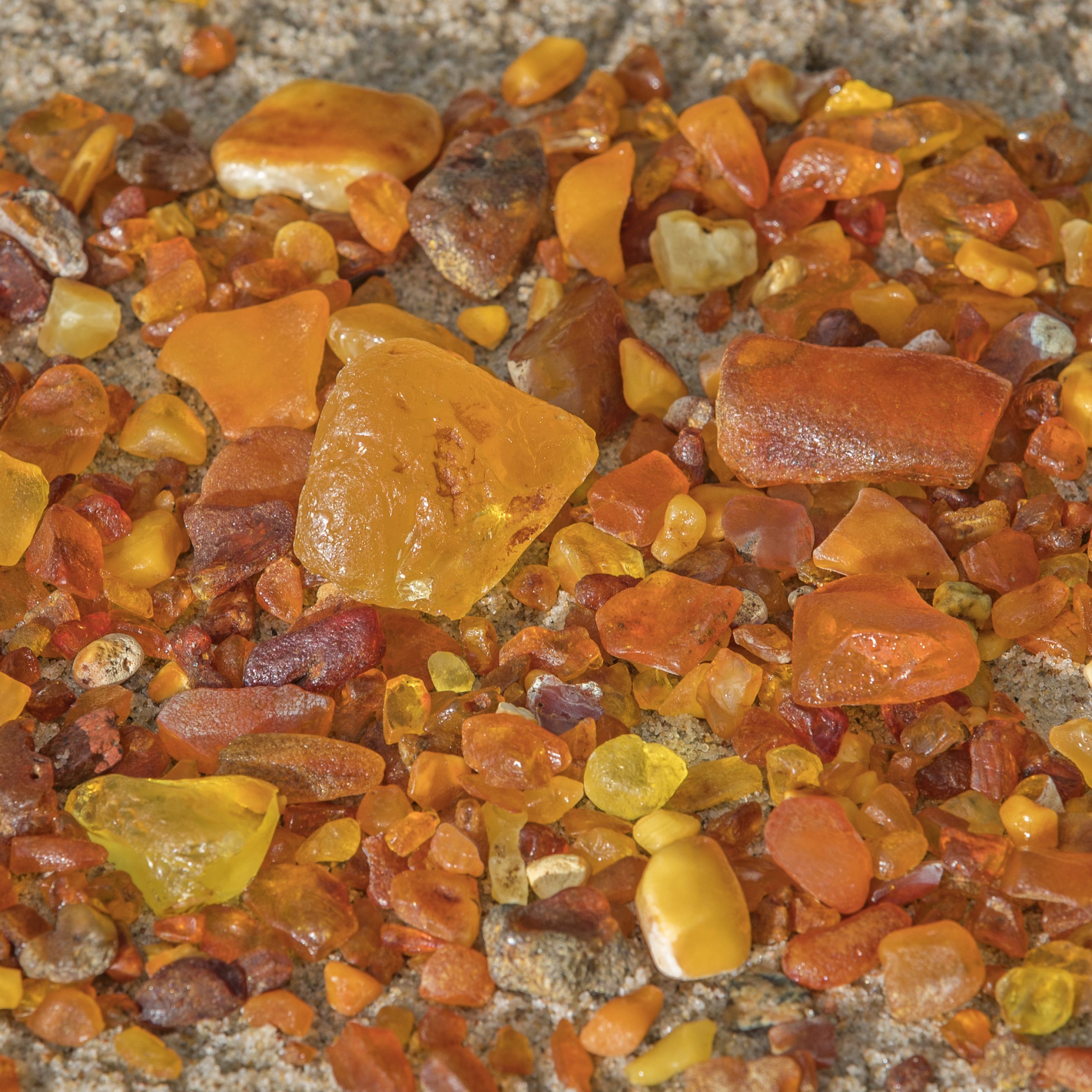 Collecting amber